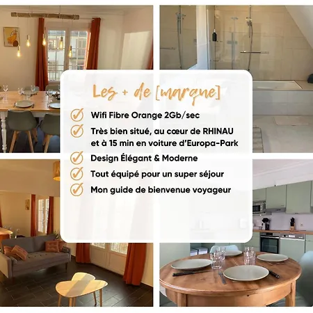 L'echappée Belle Le Duplex Proche Europa Park Appartamento Rhinau