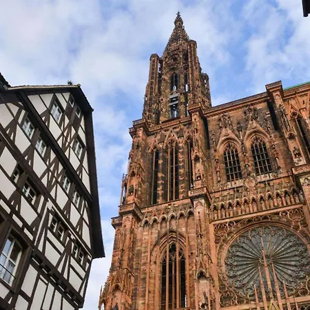 L'echappée Belle Le Duplex Proche Europa Park * Rhinau