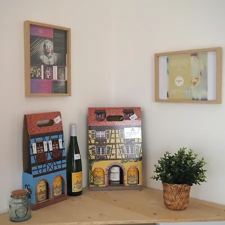 L'echappée Belle Le Duplex Proche Europa Park Rhinau